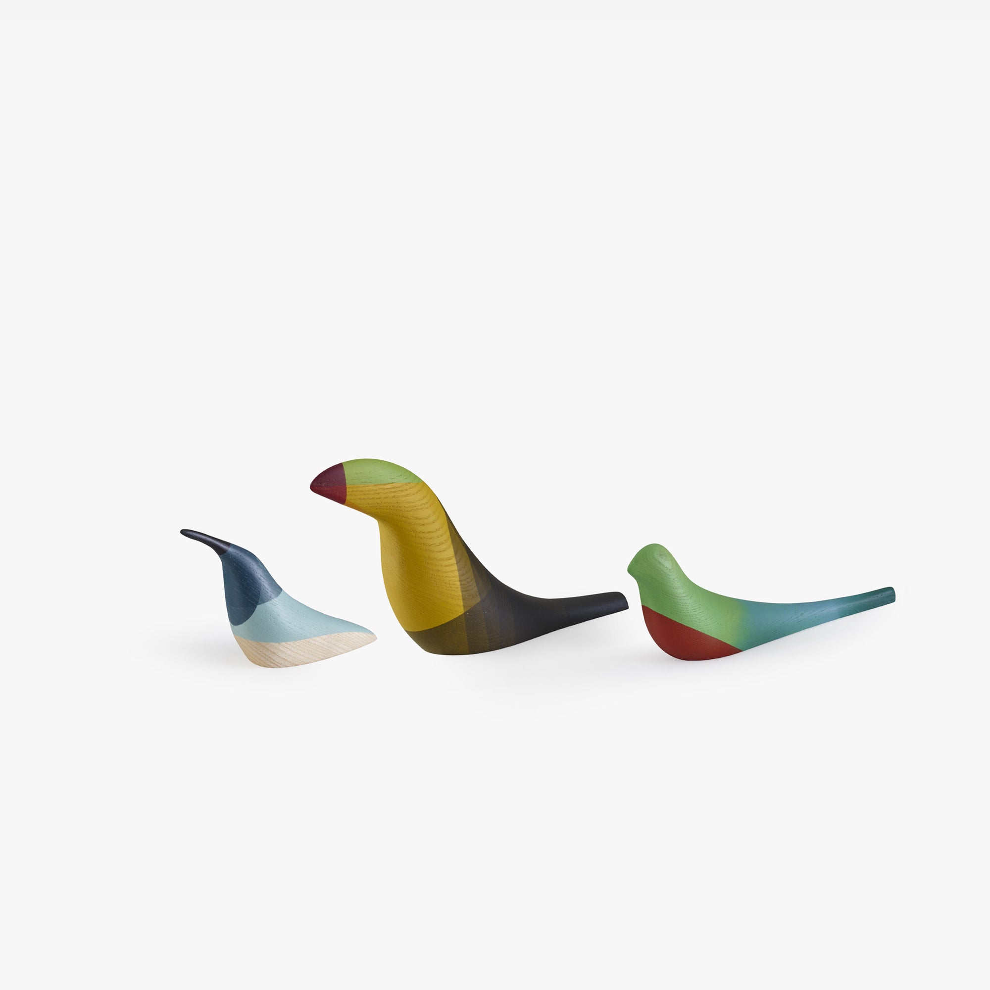 SET 3 PAJAROS PAJAROS FRESNO CON COLORES